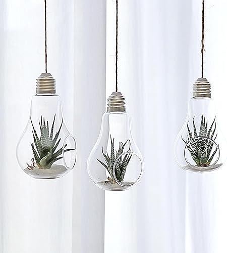 Miniatura 9 de Happyyami 6 piezas de bombilla botella de vidrio montado en la pared, macetas para suculentas, macetas colgantes, plantas de aire, jarrón de vidrio,