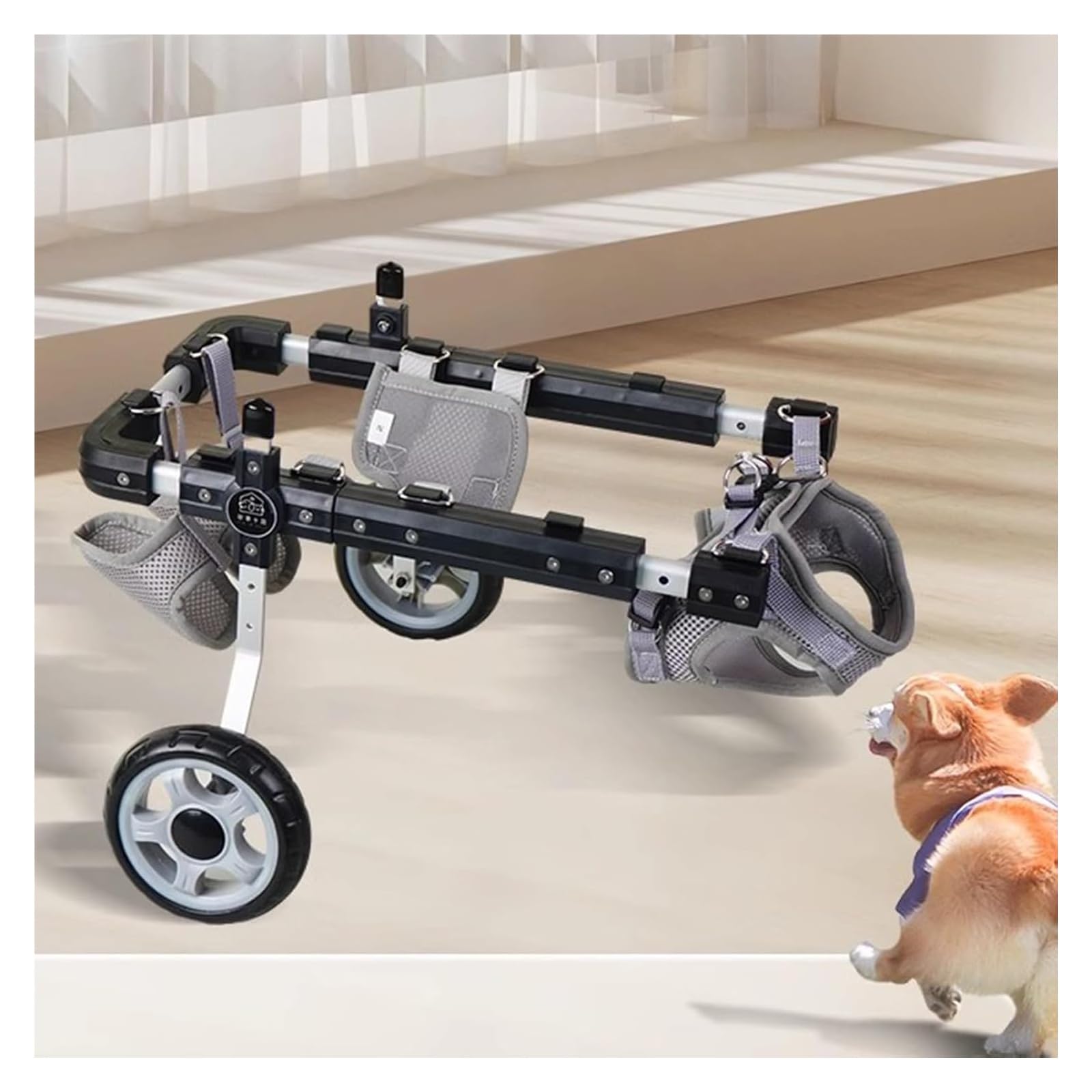 Fauteuil roulant pour chien handicapé arrière pour lui redonner la joie