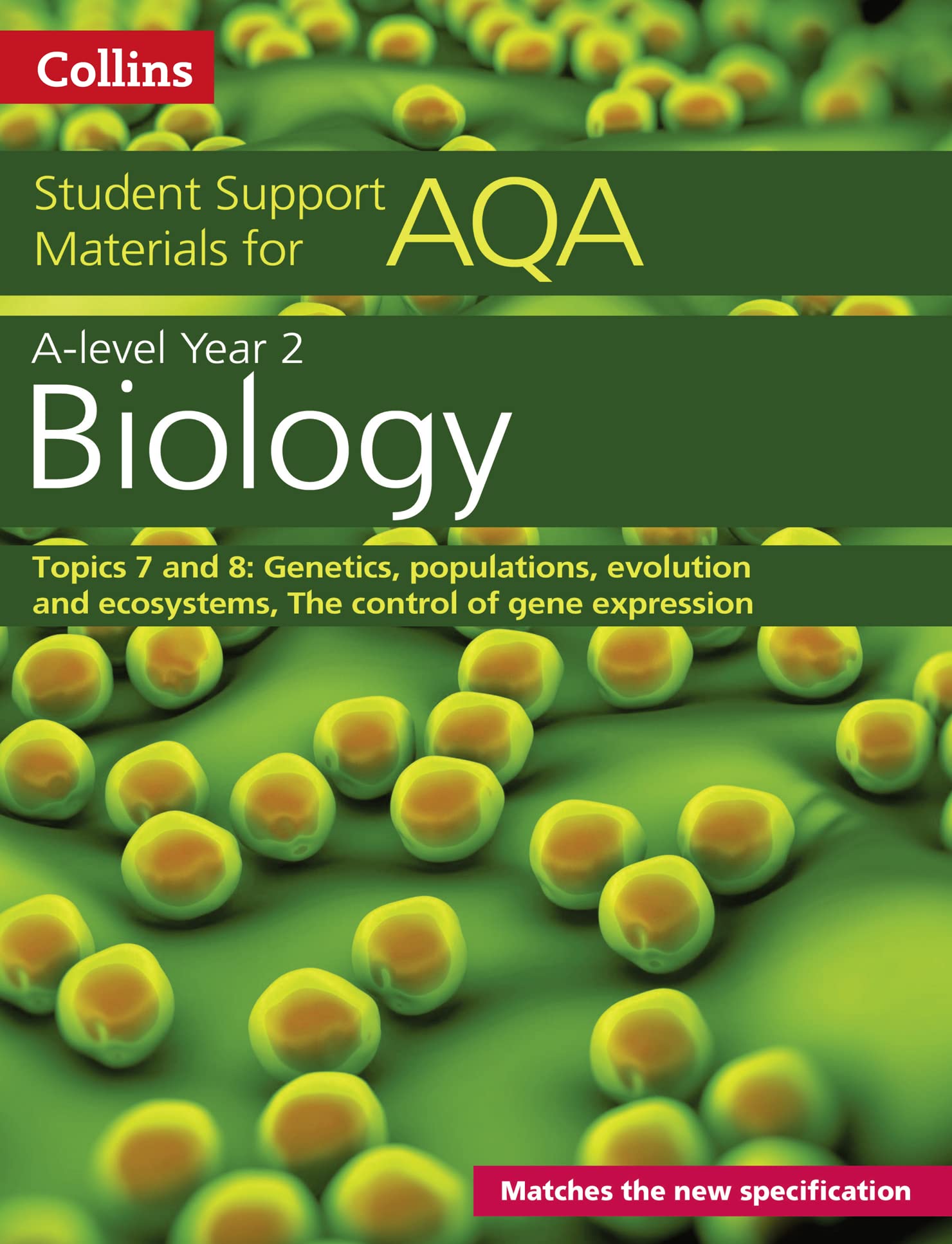 AQA A Level Biology Year 2 Topics 7 and 8: Genetics, populations ...