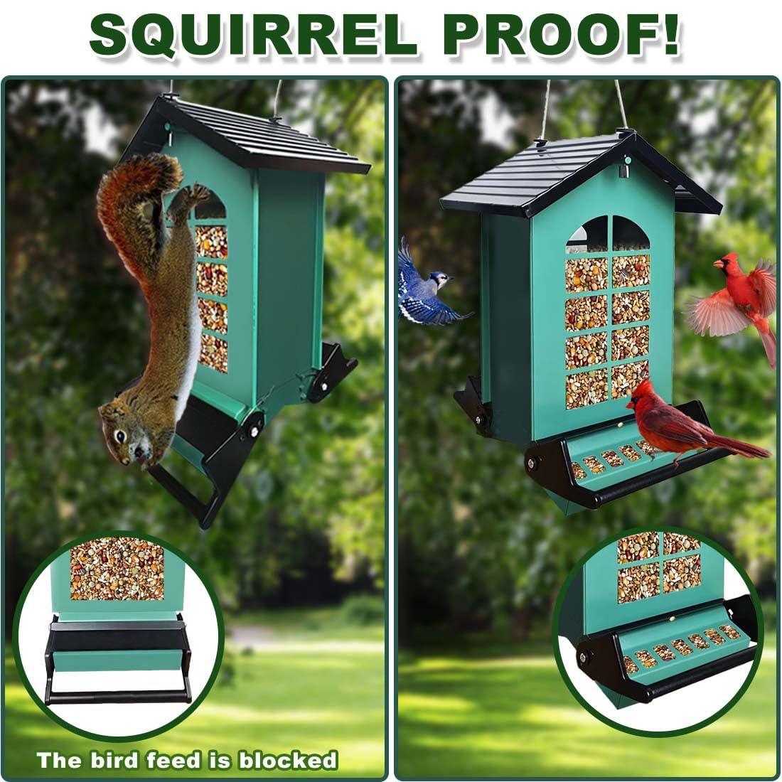 Amazon.co.jp: 鳥の餌やり器 リス防止 ハンギングバードフィーダー