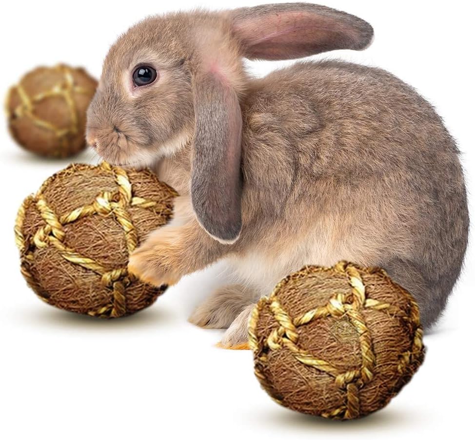 SunGrow Rabbit Teeth Floss Ball, 3", Coco Fiber Chew Ball, 3 pc per Pack