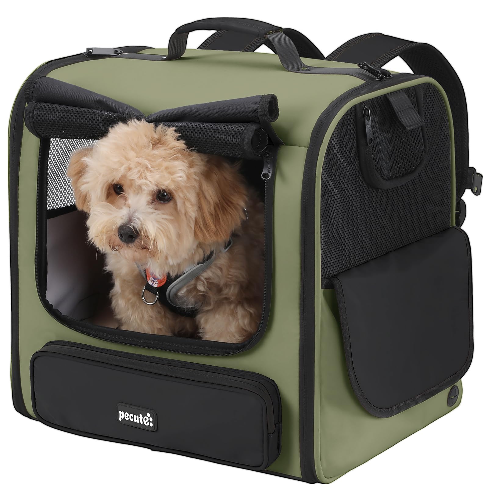pecute cat carrier backpack pet carrier backpack widen large space, stable pet backpack for cat small dog, ventilated pet backpack miniature dachshund bag suitable for hiking, camping, khaki