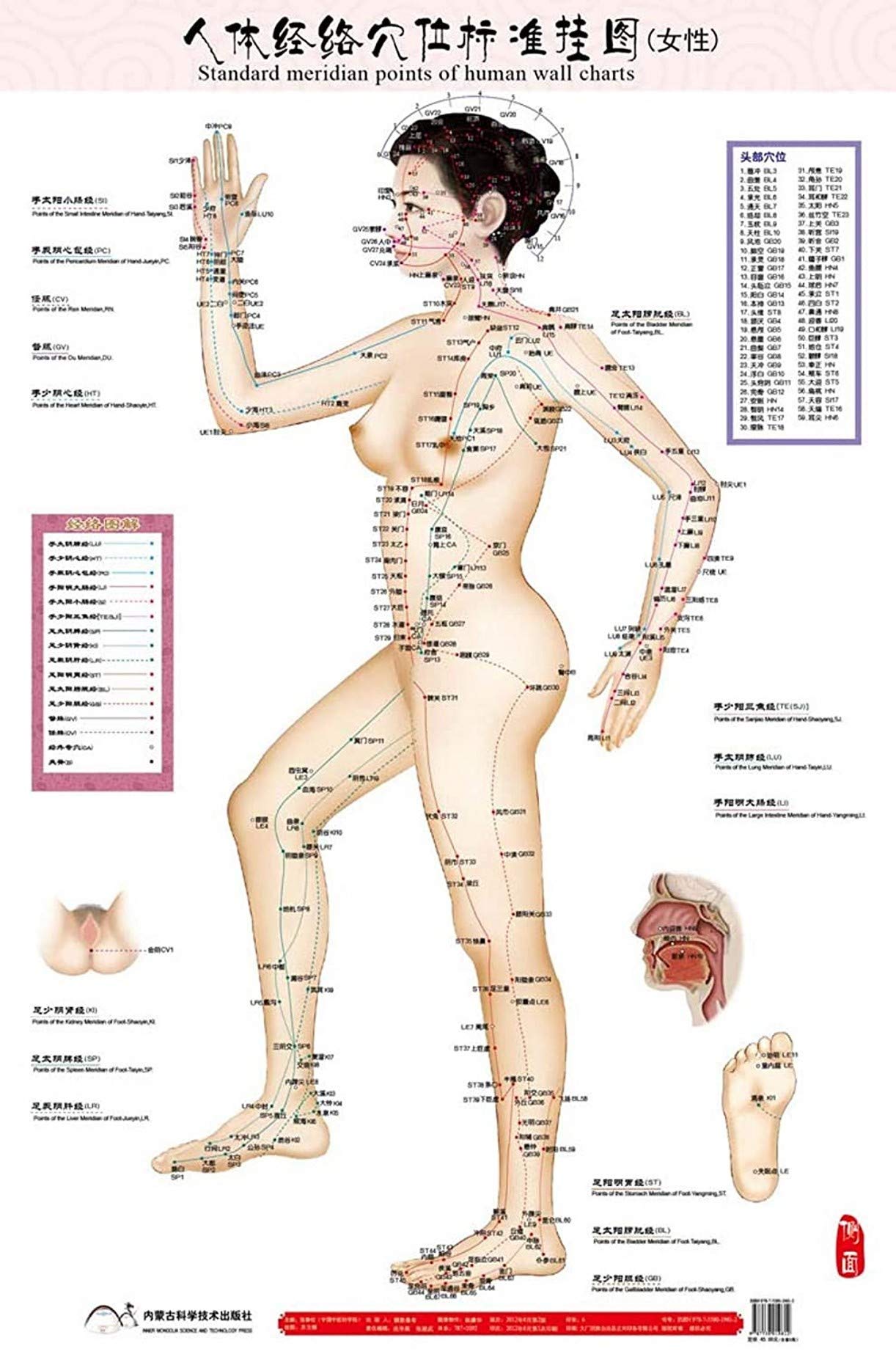 Amazon.co.jp: ZHONGJIUYUAN 6 Stlye 女性/男性指圧チャート