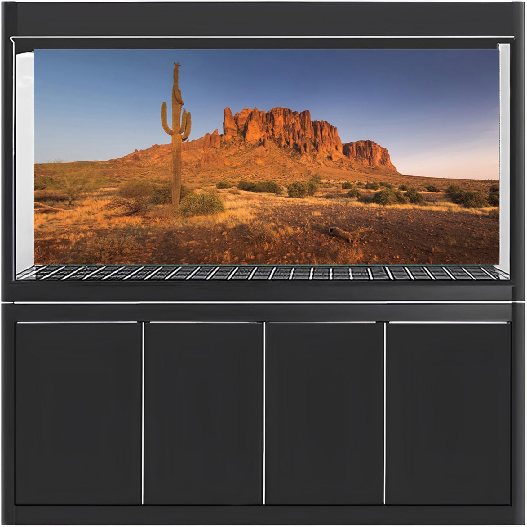 MIRRORANG 120x61cm Zon en Woestijn Terrarium Achtergrond Wolk Hemel Berg Oase Cactus Gobi Reptiel Habitat Duurzaam Vinyl Achtergrond