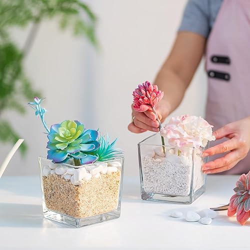 Miniatura 4 de Hewory - Juego de 6 jarrones cuadrados de cristal 5 x 5 pulgadas para centros de mesa decoración del hogar eventos ceremonia de fiesta no incluye