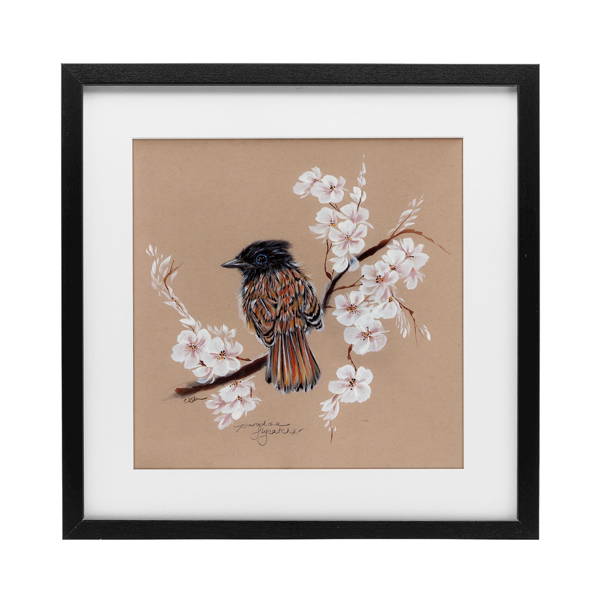 Stupell Industries Perched Bird Neutral Apple Blossoms Black Framed Print Under Glass, design by Cady Driver, 16 x 16