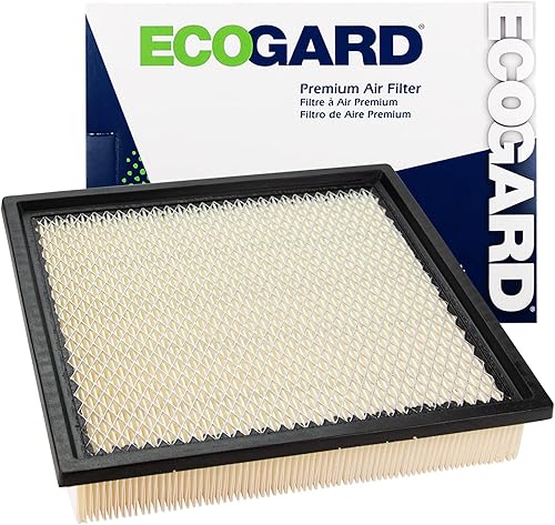 ECOGARD Filtro de aire de motor XA5568 Premium para Ford Mustang 4.0L 2005-2010, Mustang 4.6L 2005-2009