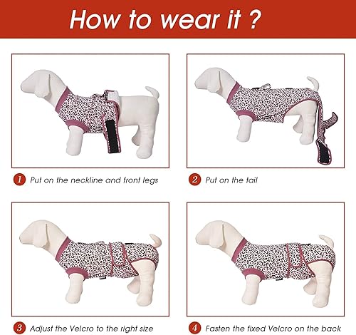 Miniatura 4 de Jiupety Traje para perro para recuperación quirúrgica, body para perro para herida abdominal después de la cirugía, collar electrónico sustituto,