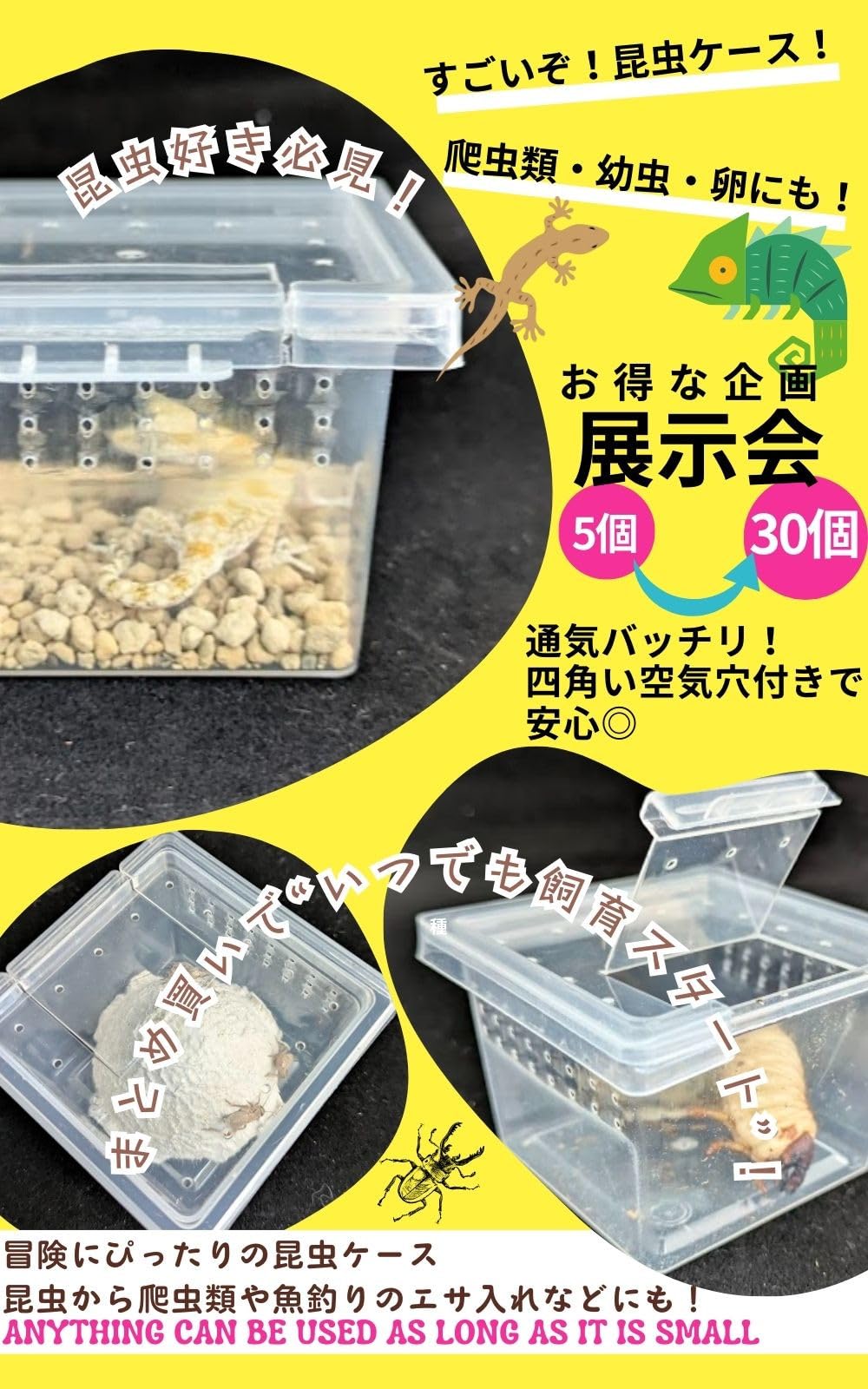 Amazon | UTST 昆虫飼育ケース 小型 コンテナ ボックス 空気穴