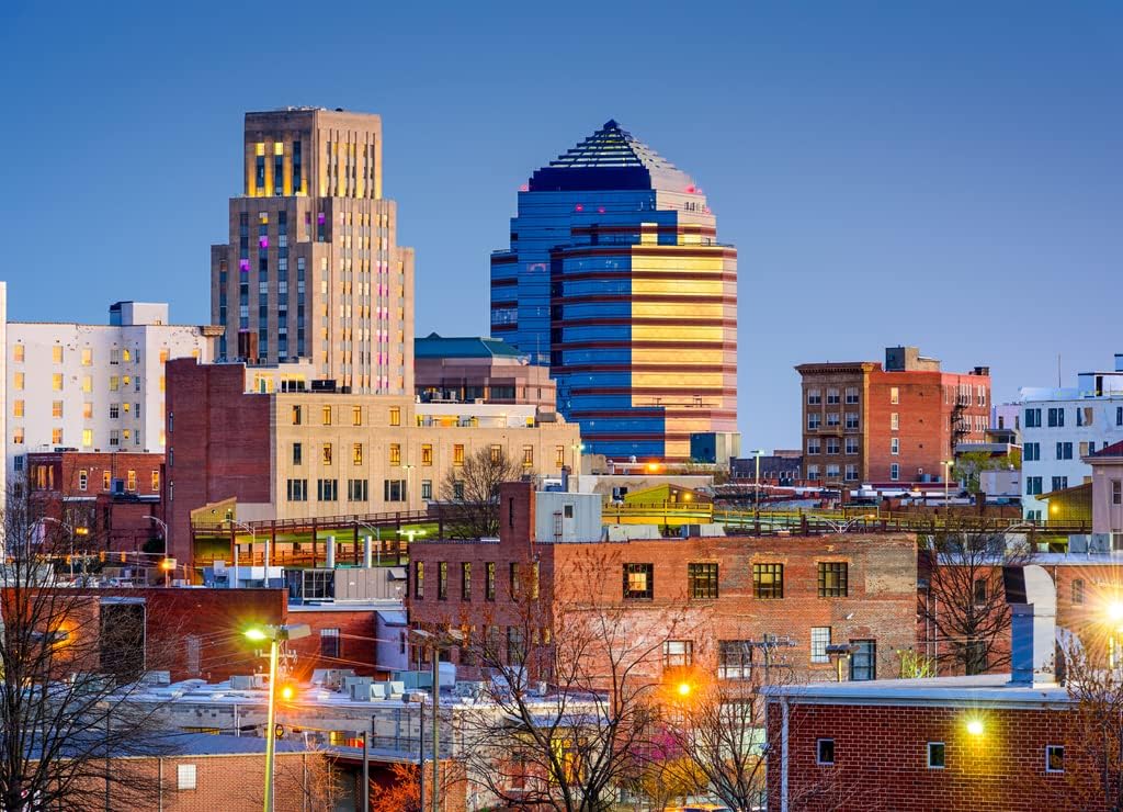 Noah Jigsaw Puzzle Durham, North Carolina Skyline 1000 Pieces