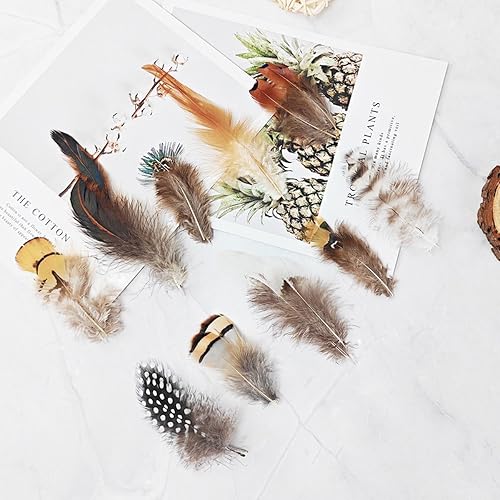 Miniatura 2 de 390 plumas naturales de 13 estilos surtidos de plumas para atrapasueños y manualidades (13 estilos390 piezas)