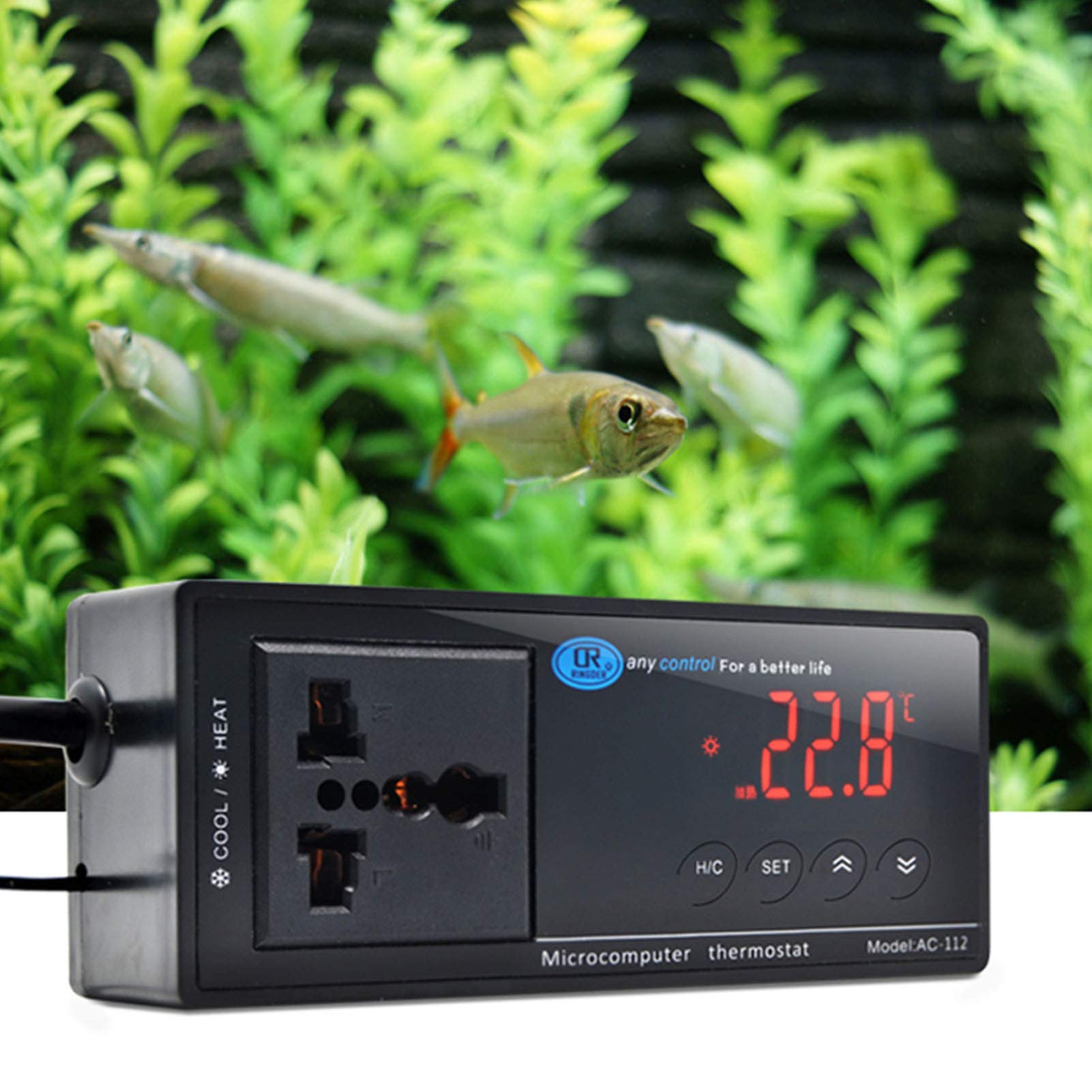 YTgilo Digital Thermostat 12V – Microcomputer Temperature Controller For Aquarium, Incubator, Home DIY & Cabinets - View #3