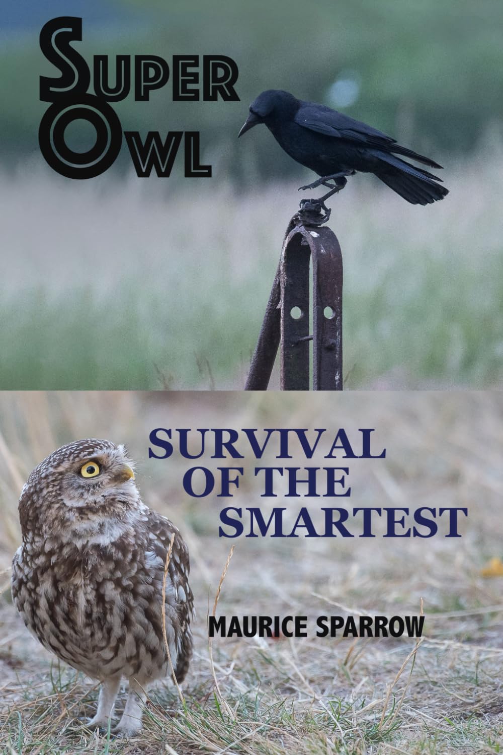 Superowl Survival of ther Smartest: 2 (The Adventures of Superowl)