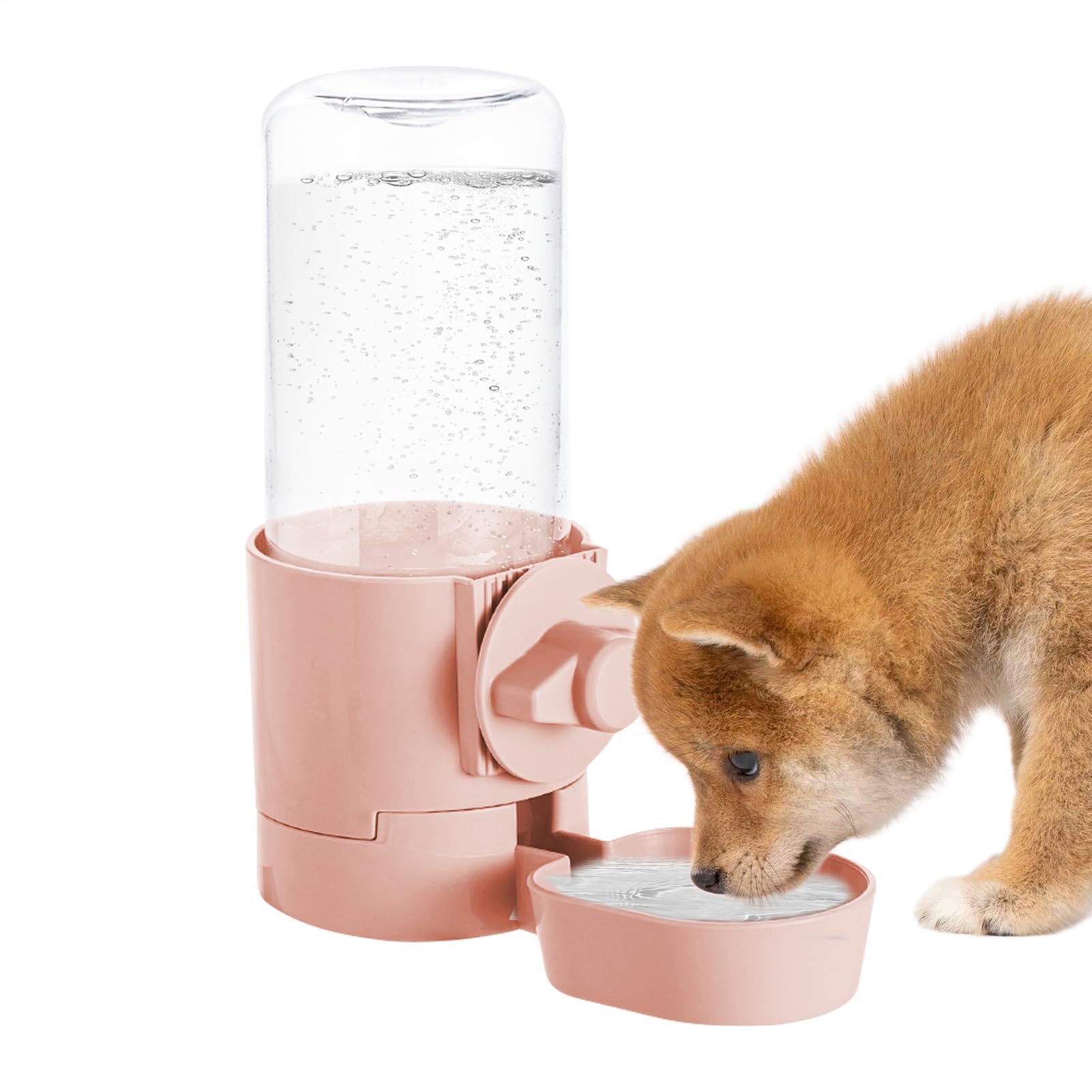 Distributeur d'eau pour animaux anti-déversement et abreuvoir automatique chat