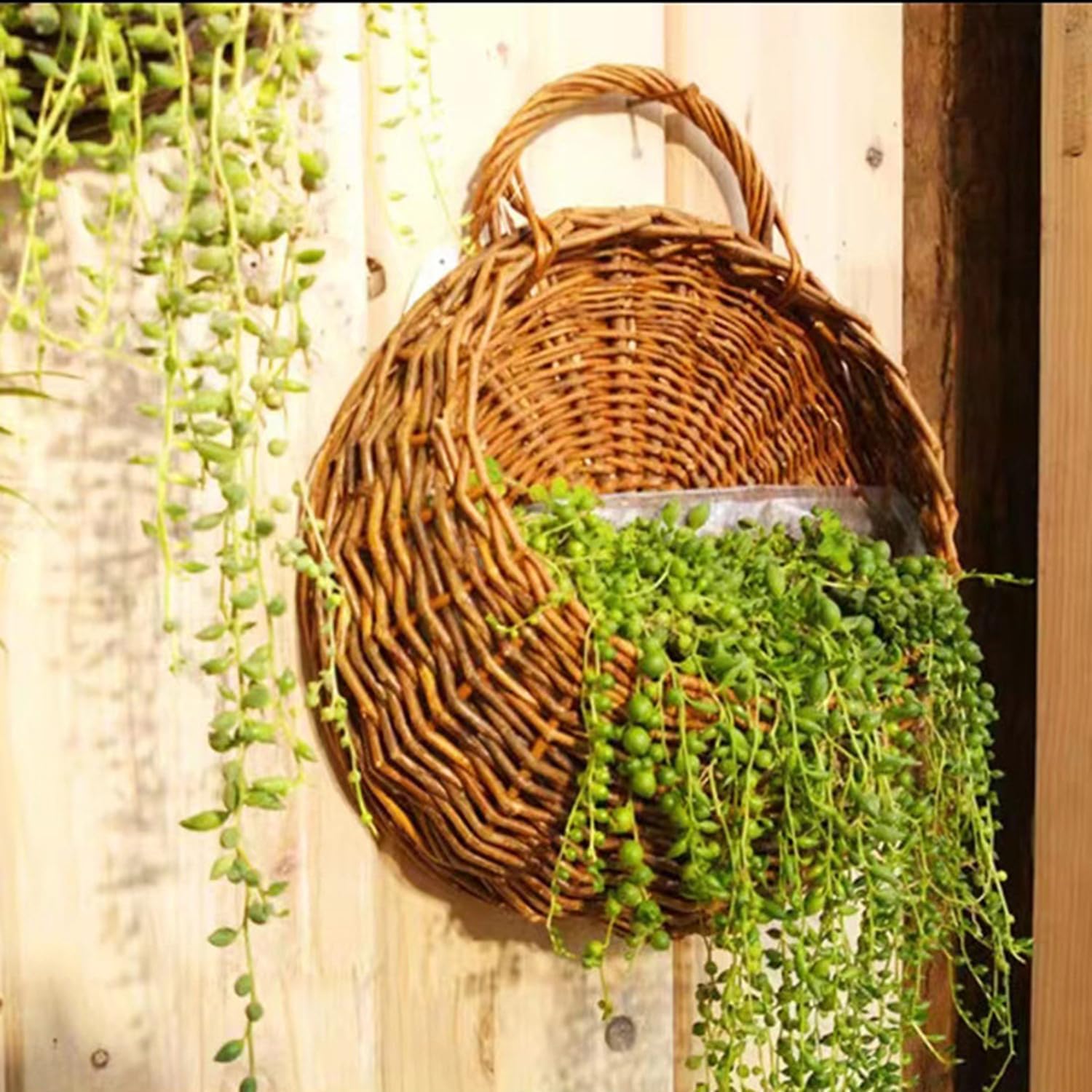 Wall Hanging Flower Basket, Handmade Wicker Hanging Basket for Plant Wall Mount Rattan Chlorophytum Comosum Hanging Basket for Front Door, Home, Garden. (M)