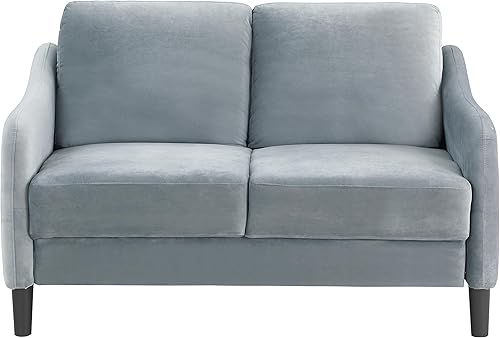 HAWWHOME Sofá biplaza de 51.5 pulgadas, sofá biplaza moderno de mediados de siglo, sofá pequeño para espacio compacto, sala de estar, dormitorio,