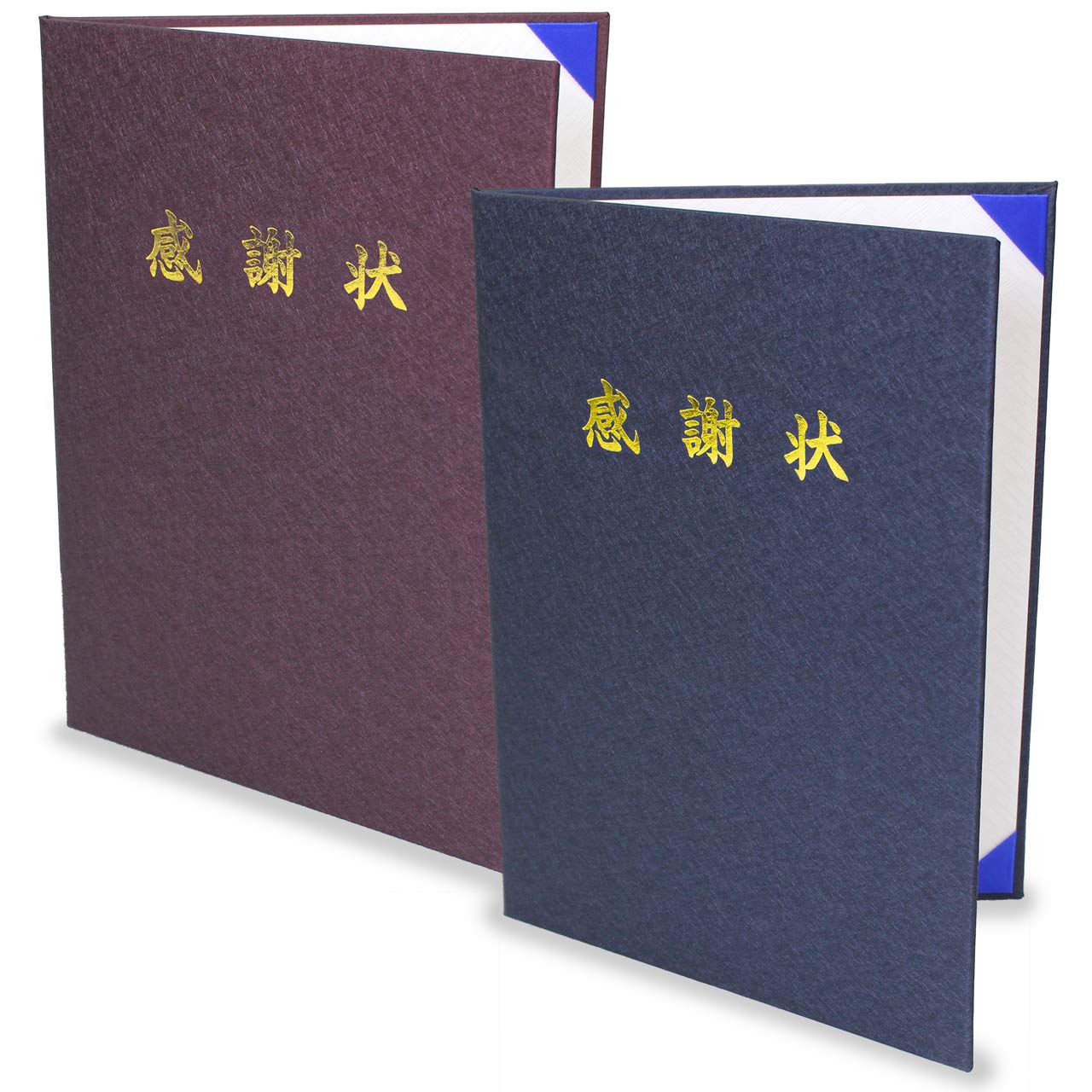 【在庫処分】お得[10冊セット]一創オリジナル 賞状ファイル 証書ホルダー BL 在庫処分】お得[10冊セット]一創オリジナル 賞状ファイル 証書ホルダー