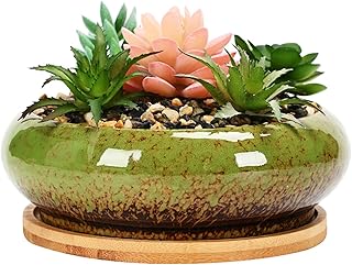 Succulent Plant Pot 6.14x2.20in Bonsai Pot with Tray Shallow Succulent R...