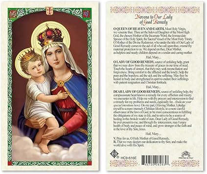 Amazon Com Novena To Our Lady Of Good Remedy Laminated Prayer Cards Pack Of 25 English Office Products