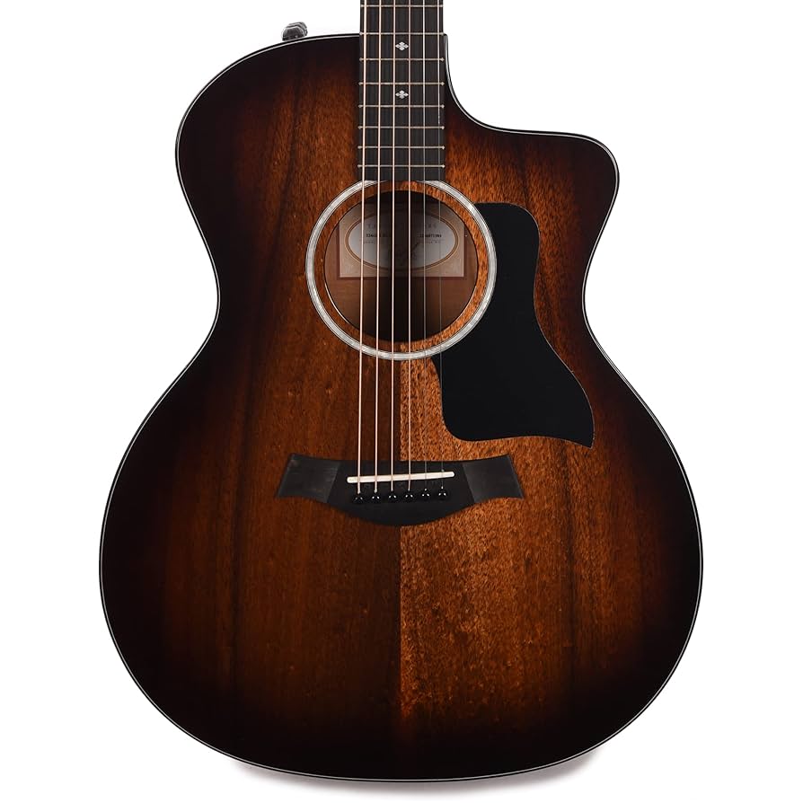 【最終価格】Taylor/224ce-K DLX エレアコ Amazon.com: Taylor 224ce-K DLX Acoustic-electric Guitar - Shaded