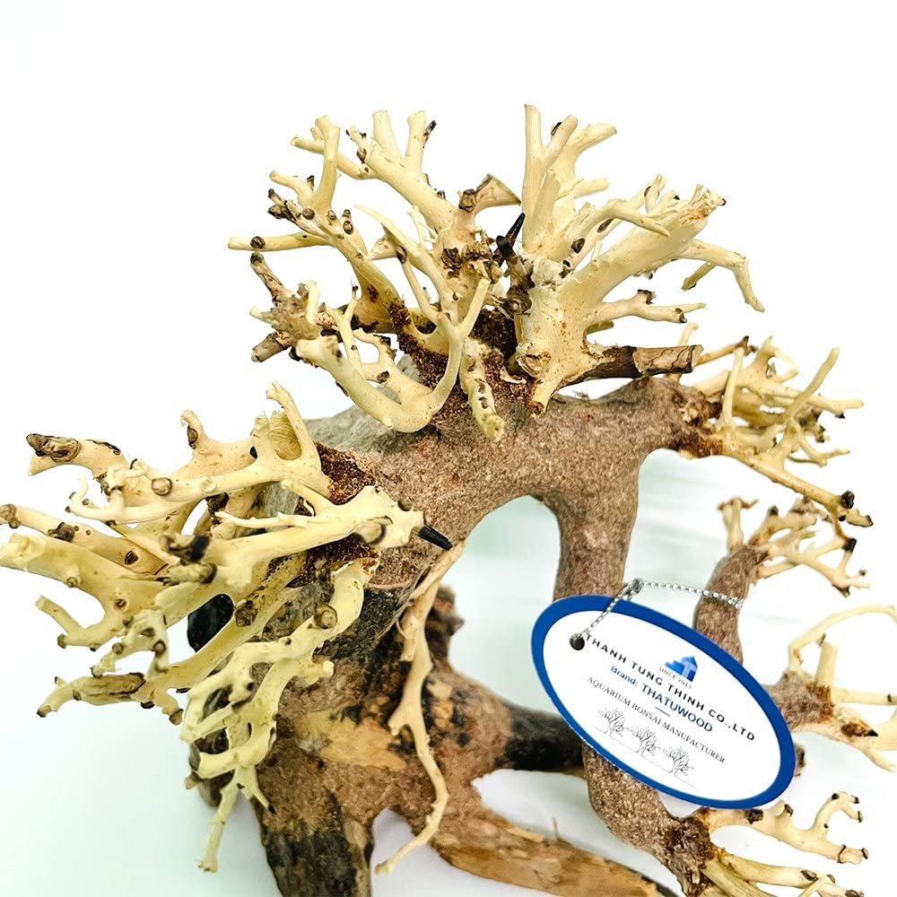 Bonsai per acquario, decorazione in legno artificiale fatto a mano, bonsai acquatico per la casa (Bonsai)