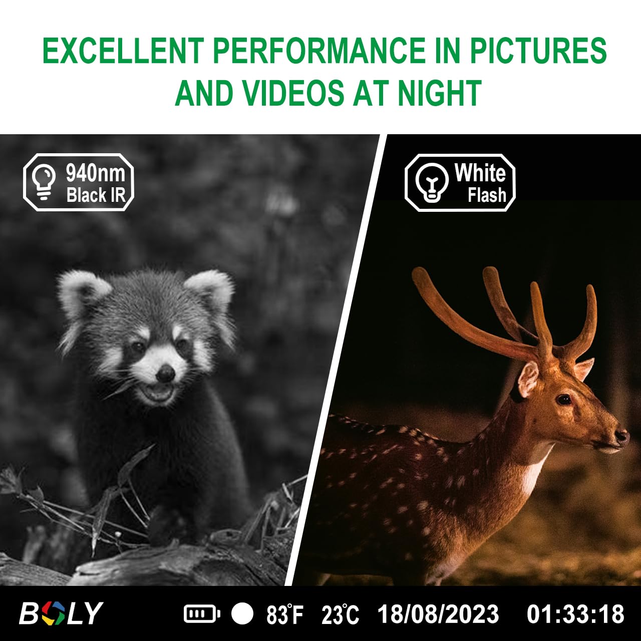 BolyGuard Jagdkamera 56MP 4K High-Definition Nachtsicht Tierkamera mit SD-Karte 256G, ausgestattet mit Bewegungsmelder, Jagdkamera im Freien, wasserdicht, blendfreies Foto, Fotokamera