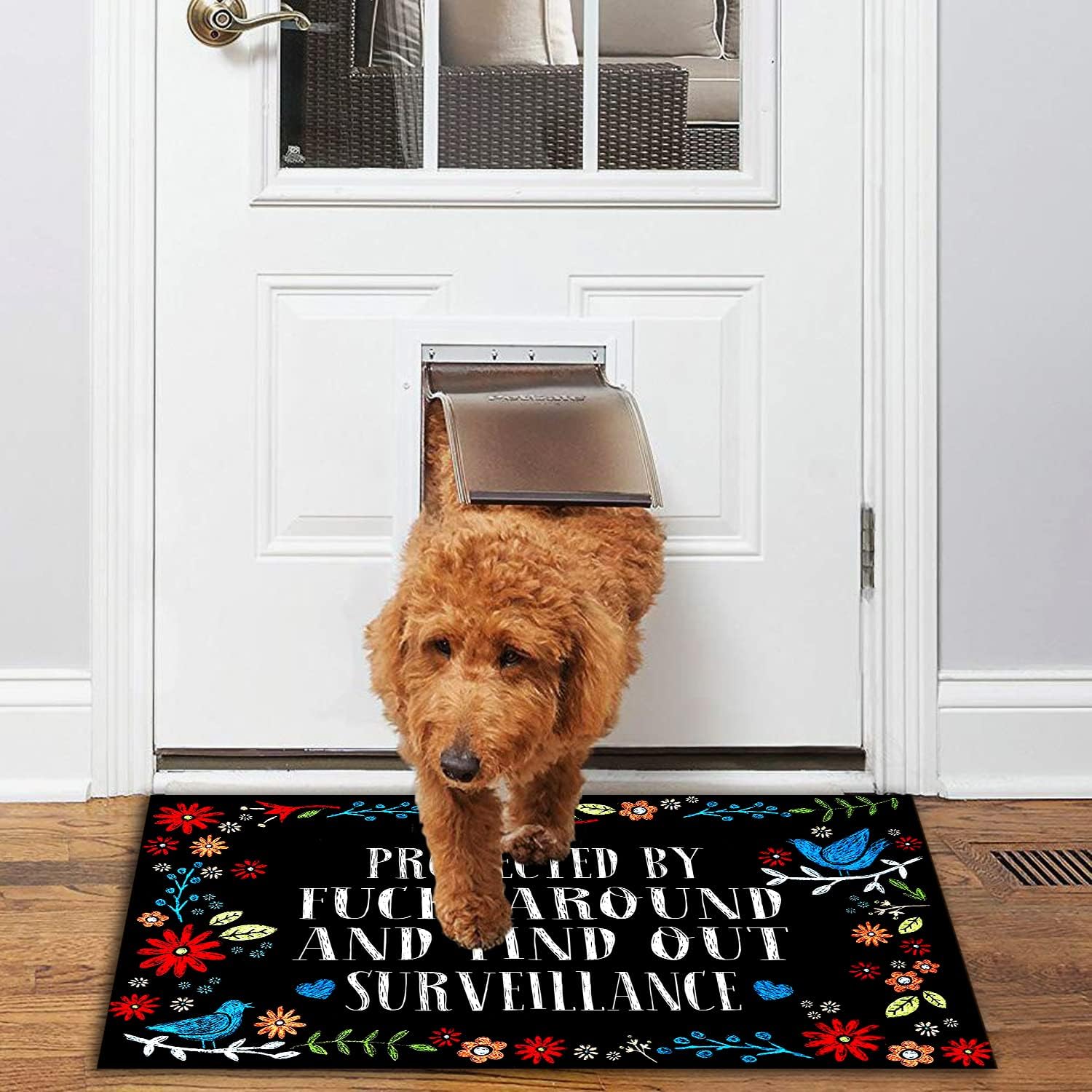 Jec&Smis Doormat Protected by Fuck Around and Find Out Surveillance 04 Welcome Mats for Front Door Indoor Outdoor Entrance Floor Mat Non Slip Doormat 23.6 inch X 15.7 inch