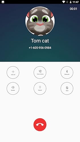 Fake Video Call From The Tom Cat Prank
