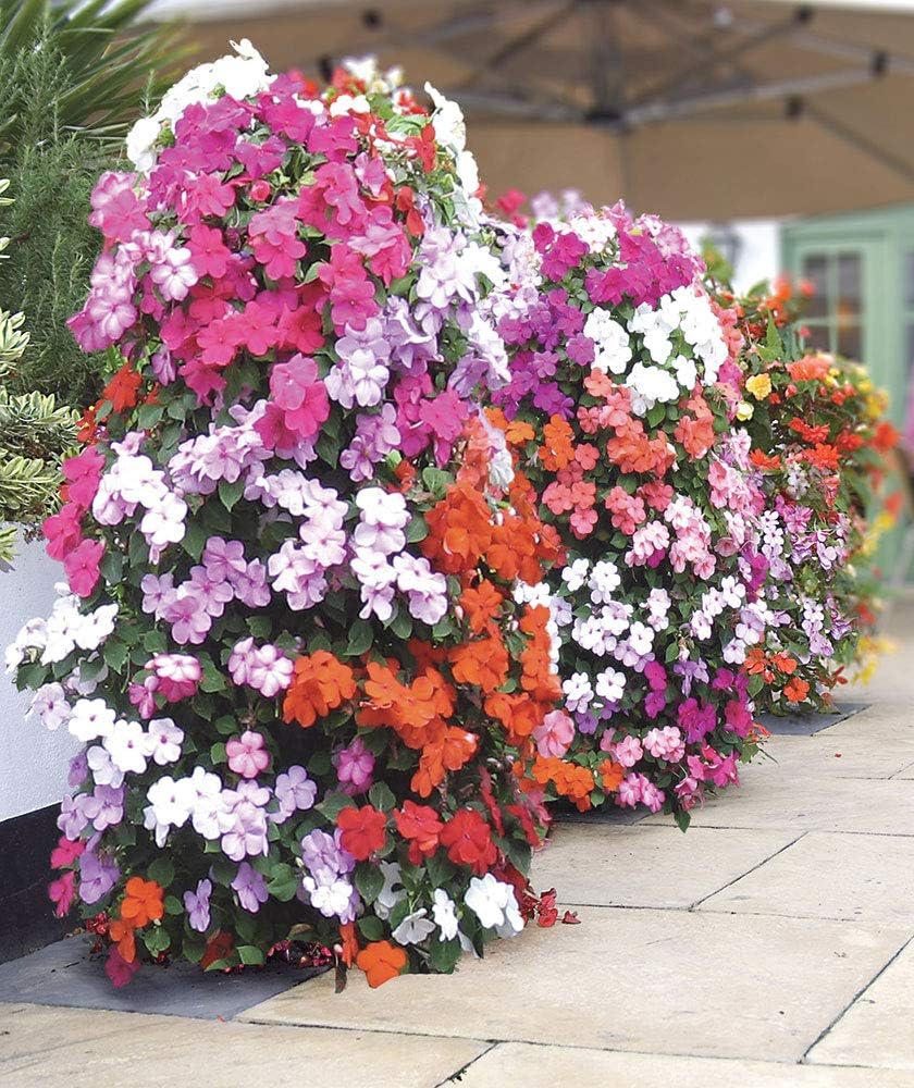 Flower Tower AP-FT002 Apollo, Freestanding, 3-feet, Black