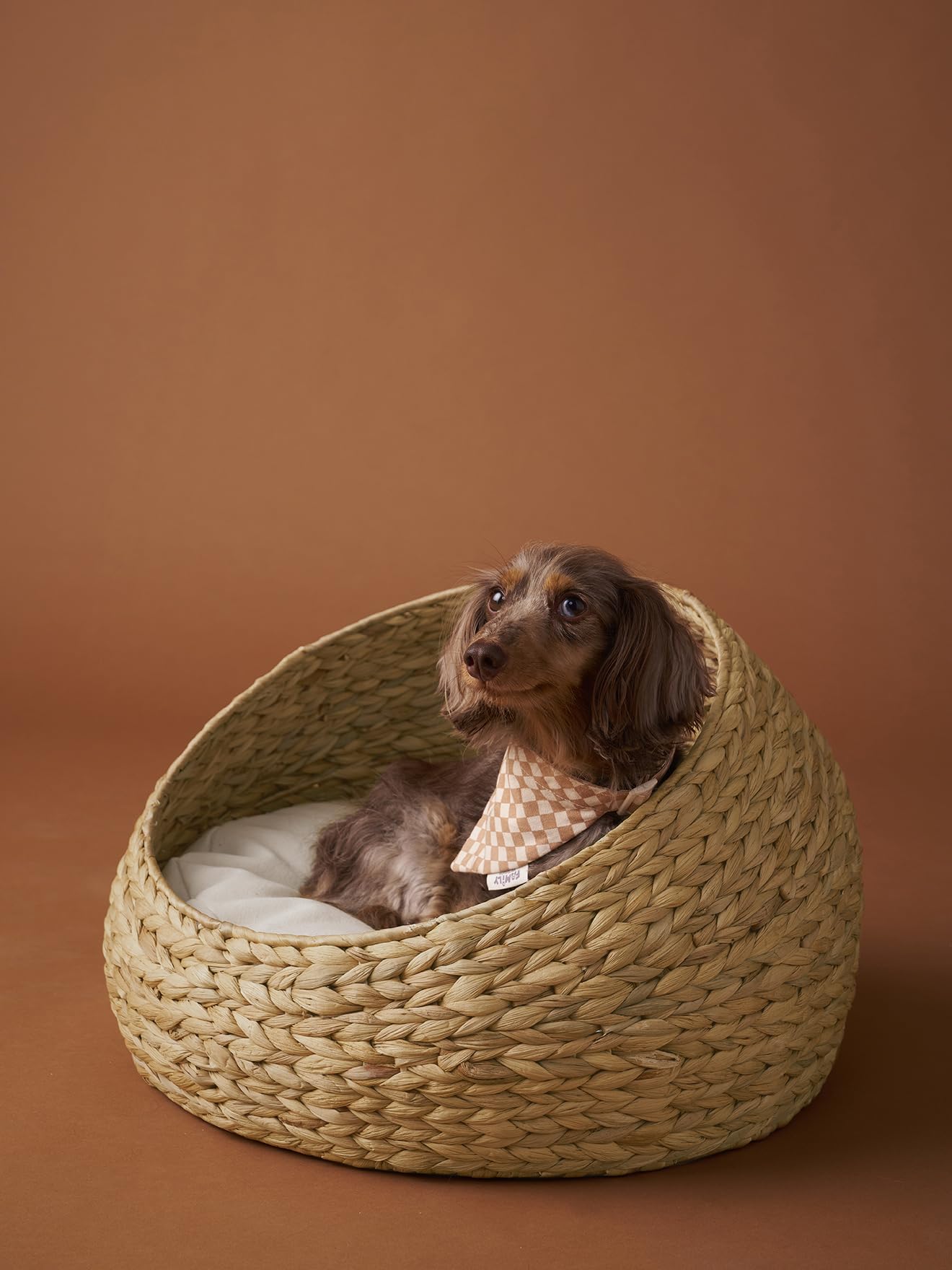VERTBAUDET Panier Ovale pour Chat Et Chien Métal Déhoussable Beige TU