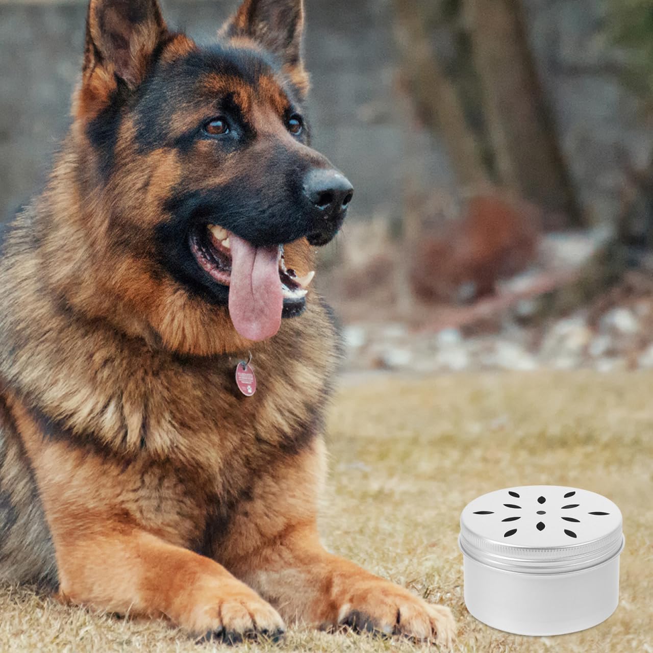 WOONEKY Lot de 10 récipients de dressage pour chien - En métal - Avec couvercle - Pour odeur de chien - Boîte à renifler - Boîte d'entraînement pour chien - Aromathérapie - Travail