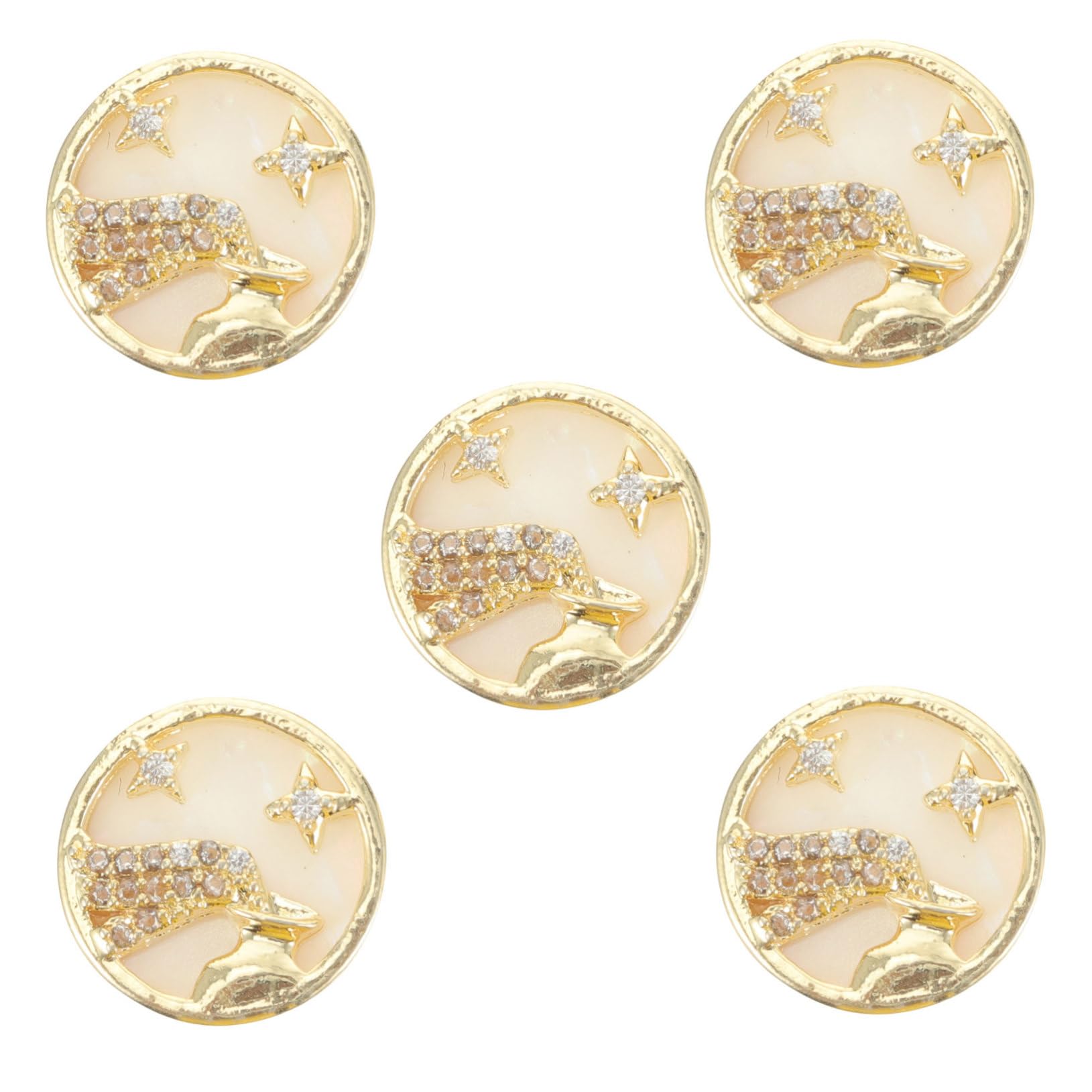 Ipetboom Aquarius Nail Charms 5pcs Nail Art Studs Stickers Unique Birthday Present