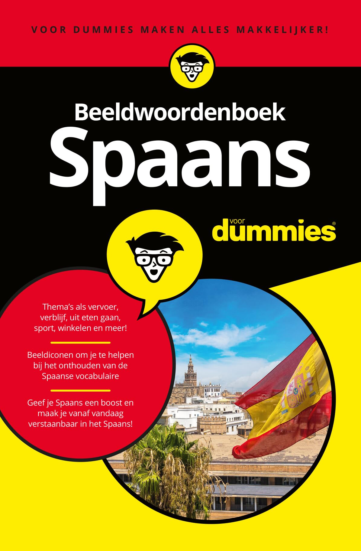 Spaans beeldwoordenboek voor dummies