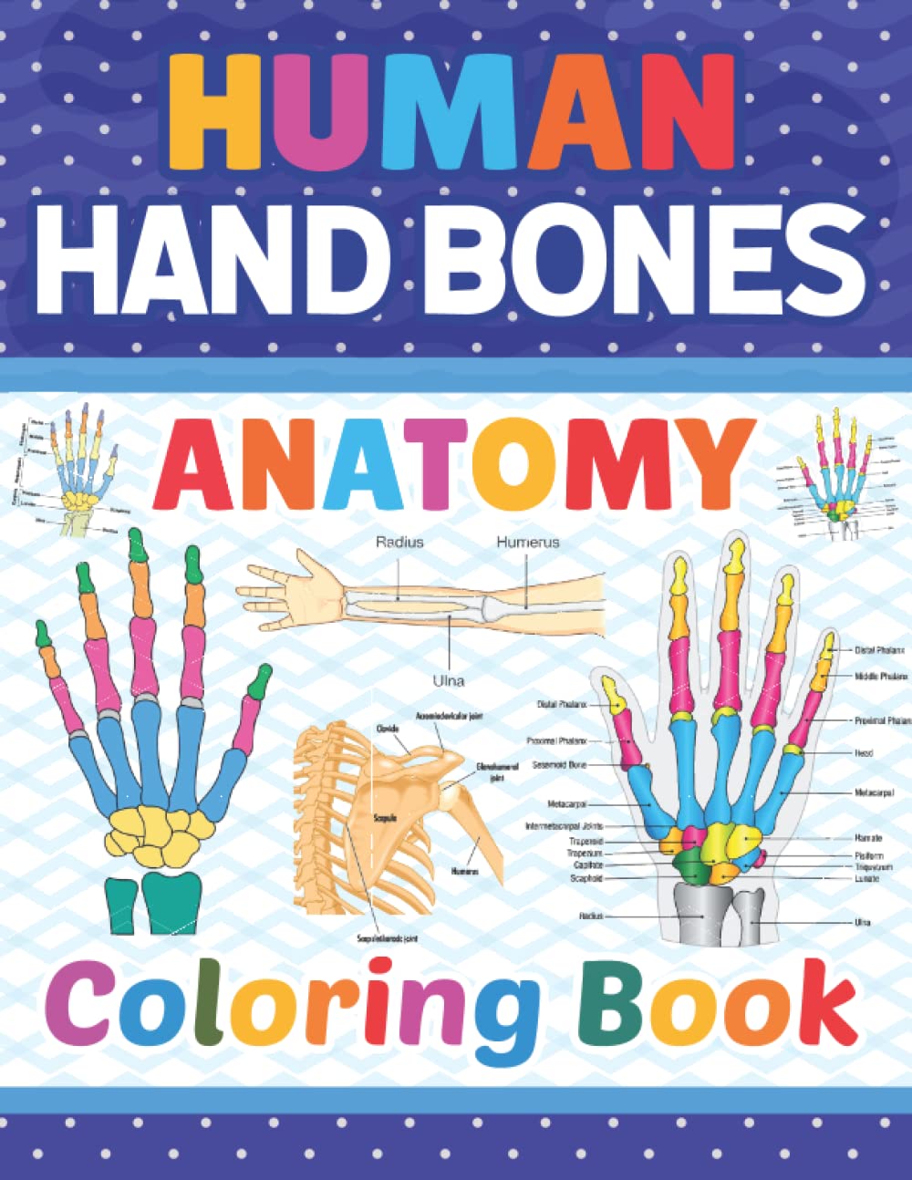 Human Hand Bones Anatomy Coloring Book: Human Hand Bones Anatomy Coloring Book For Kids Adults Boys Girls Teens and Medical Students. Great Book For ... Book for Human Anatomy Students & Teachers.