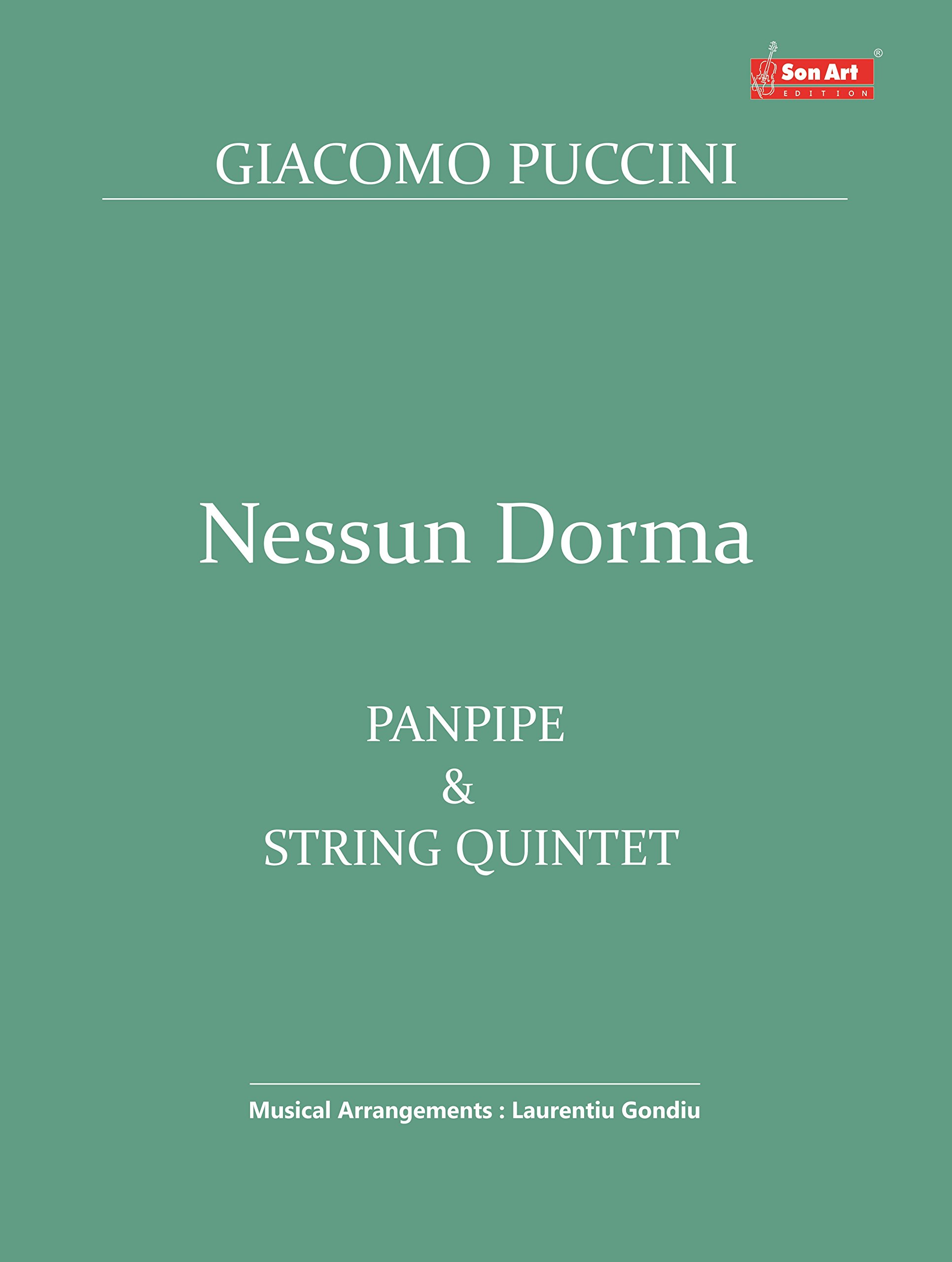 L'aria Nessun Dorma per flauto di Pan e quintetto d'archi