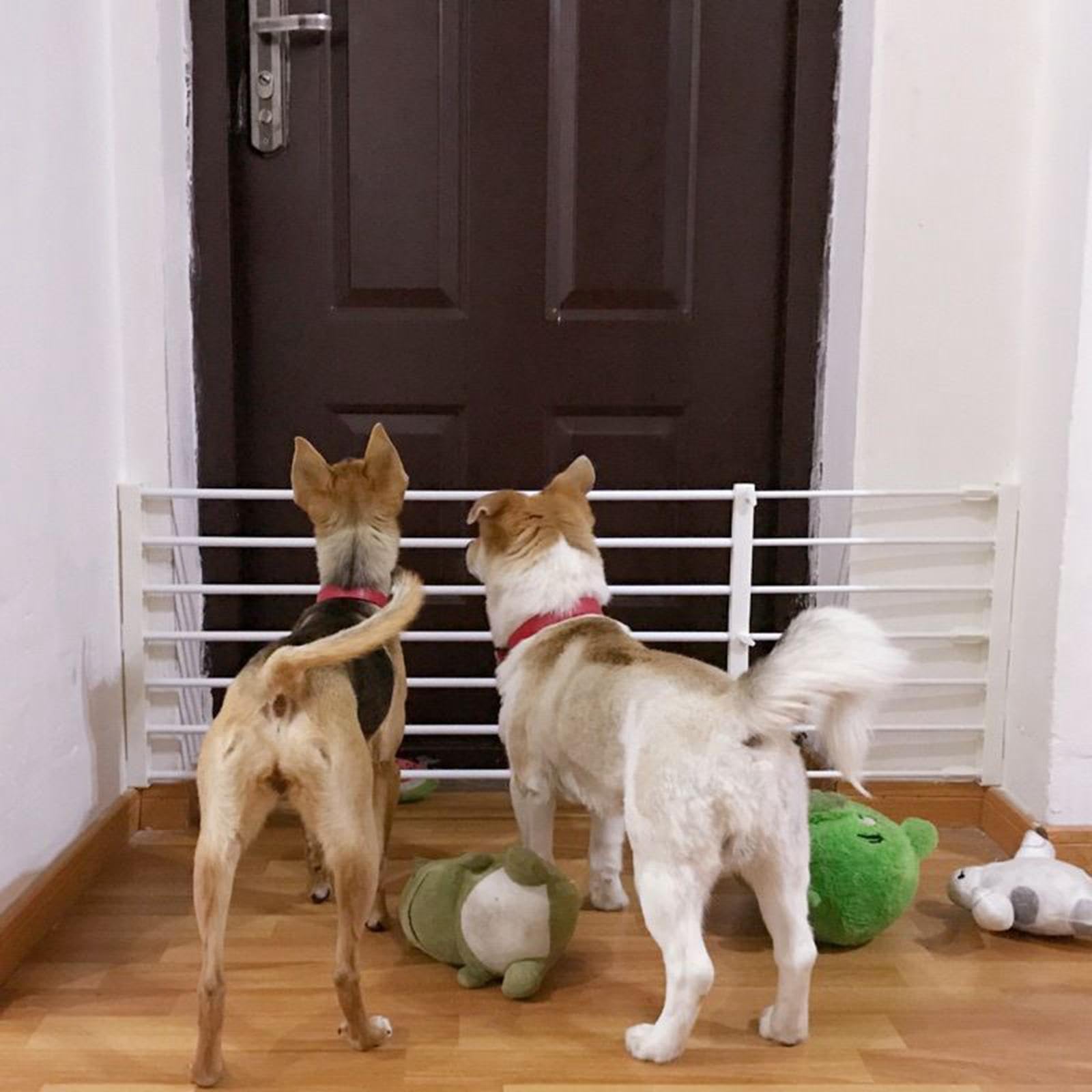 perfk Puerta Extensible Puerta retráctil para Perros Protección de Seguridad Protección para Mascotas Cerca para Cachorros Puerta para escaleras al Aire, 56 a 100 cm x 42 cm Blanco