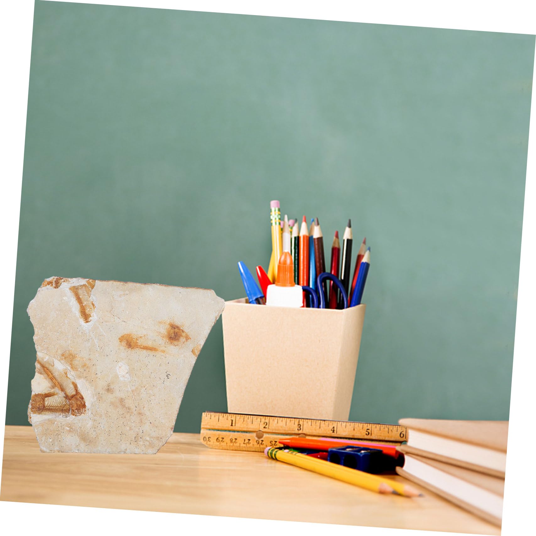 Muestra de Fósil 1 Pieza de Resina para Escritorio 7-15cm | Laboratorio y Colección de Material, Varios Estilos, para Estudiantes Estilo Aleatorio