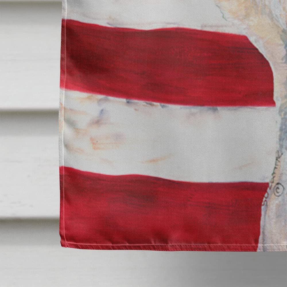 Caroline's Treasures SS4030CHF USA American Flag with Dandie Dinmont Terrier Flag Canvas, Large, Multicolor