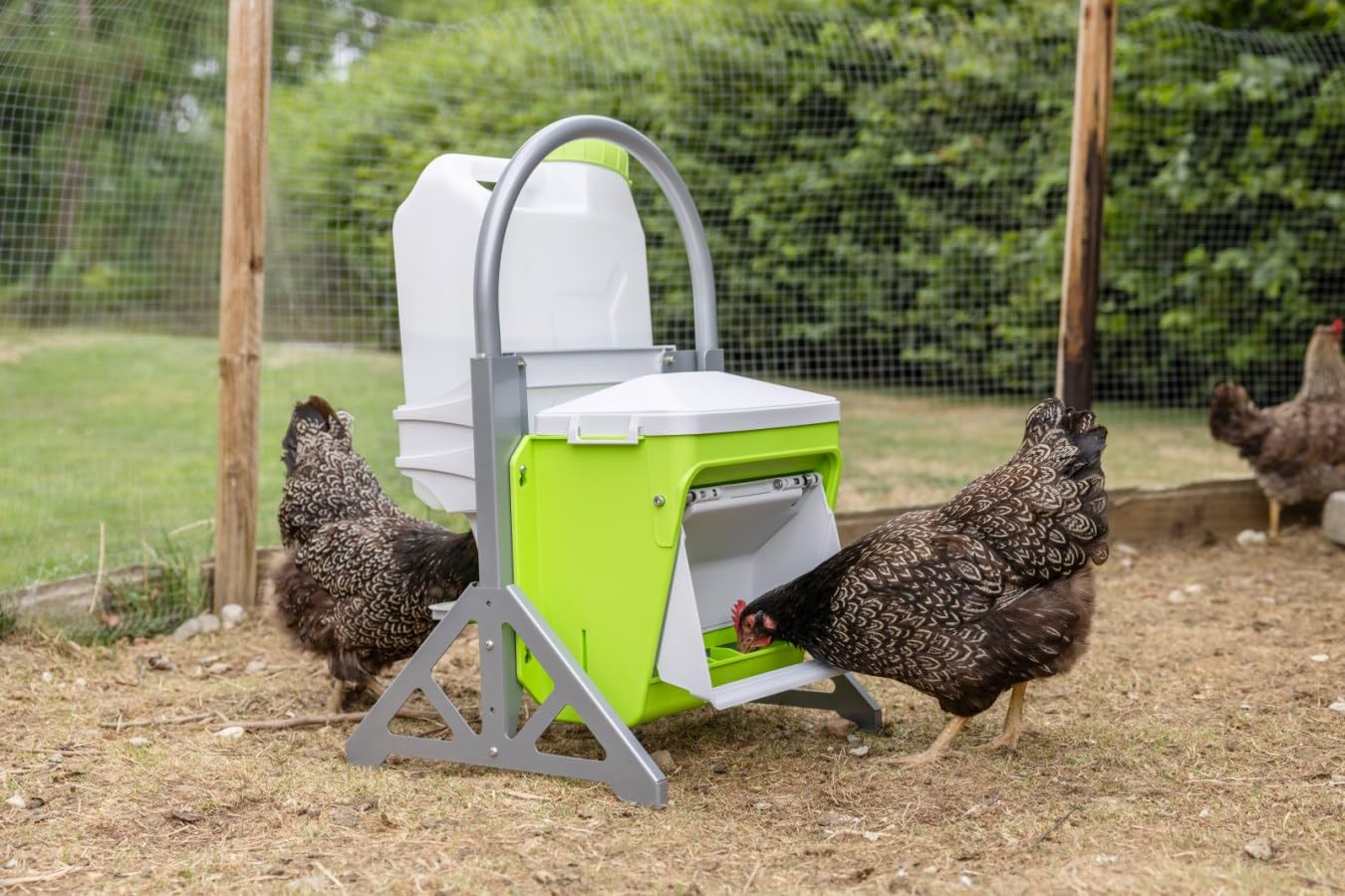 Kerbl SmartCoop - Juego de alimento móvil (Bebedero para Aves de Corral de 10 L, comedero automático con Tapa Protectora, Soporte móvil, Incluye Tornillos de fijación, alimentación Animal, Granja de