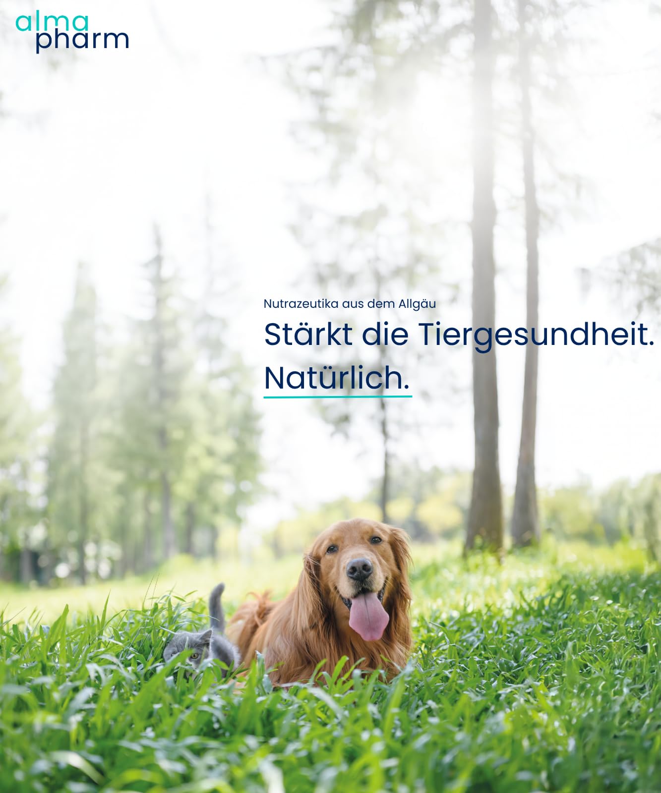 almapharm EnteriVet fibrosan | 1 kg | Ergänzungsfuttermittel für Hunde und Katzen | Leichtverdauliche Ballaststoffergänzung mit Cellulose | Zur Gewichtsreduktion ohne Hungergefühl