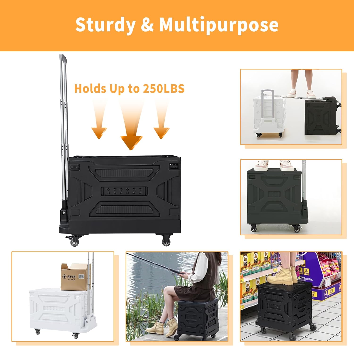 https://m.media-amazon.com/images/I/71YY08RqQZL._AC_SL1500_.jpg