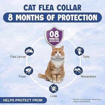 Cat Flea and Tick Collar (2 Pack) Natural Waterproof Flea Collar for Cats & Kittens with 8 Month Protection Adjustable Cat Flea Collar Includes Tick Removal Tools & Flea Comb