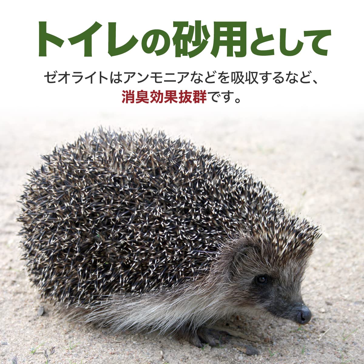 ★未開封品★ ハリネズミ サンド ゼオライト 砂 セット 総内容量15.8kg 楽天市場】国産 ハリネズミの砂 1L ゼオライトサンド 関東当日