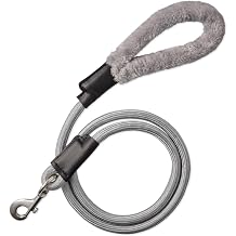 Pet Passion Plush Dog Leash with Cozy Sherpa Handle 5 ft. for All Pet Breeds, Gray Heather, One Size