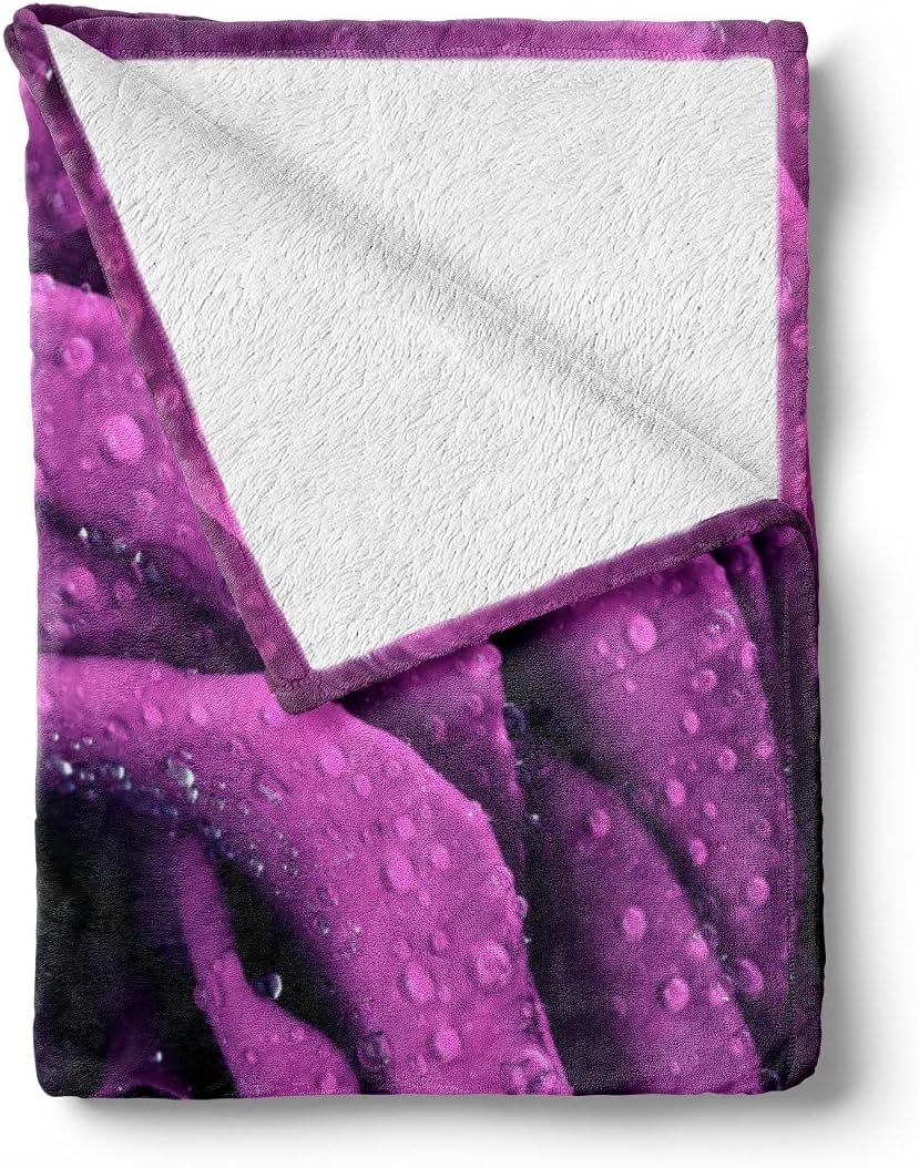 Lunarable Purple Throw Blanket, Fresh Raindrops on a Big Valentine Rose Universal Timeless Romantic Love Blooms, Flannel Fleece Accent Piece Soft Couch Cover for Adults, 60" x 80", Purple