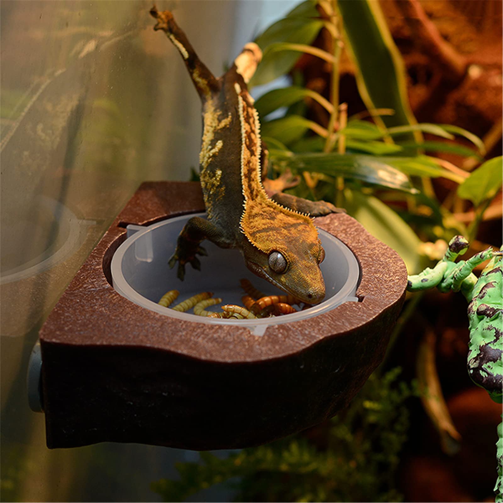 2 Pack Reptielen Voeding Schotel Hoek Kom, Reptiel Water Schotel Voedsel Kom, Reptielen Voeden Terrarium Kommen voor Bebaarde Draak Hagedis Kikker Gecko Schildpad Heremietkreeft Krab