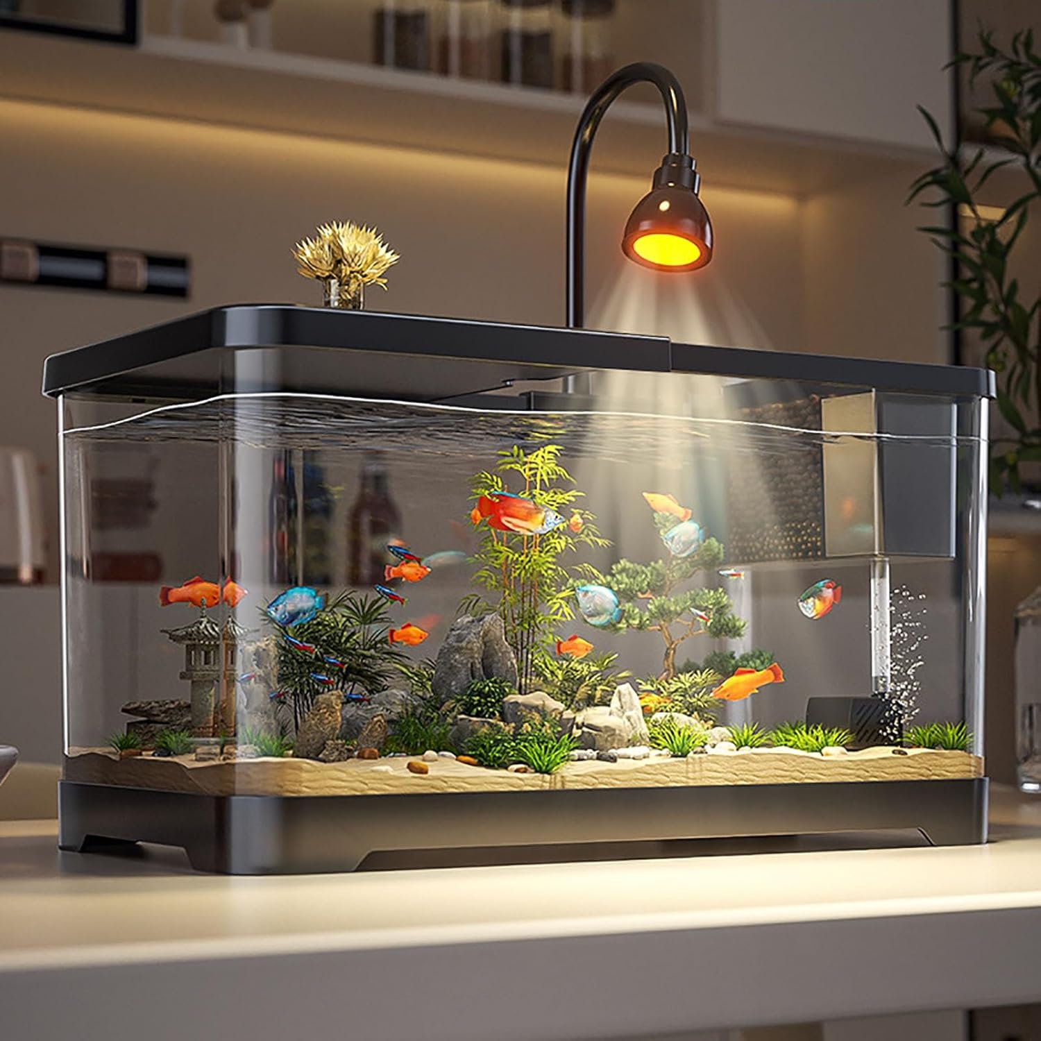 Fish Tank Aquarium,Aquarium Starter Kit with Filteration, Oxygenation, Water Circulation, Lighting Betta Fish Aquarium with Decor(Large)