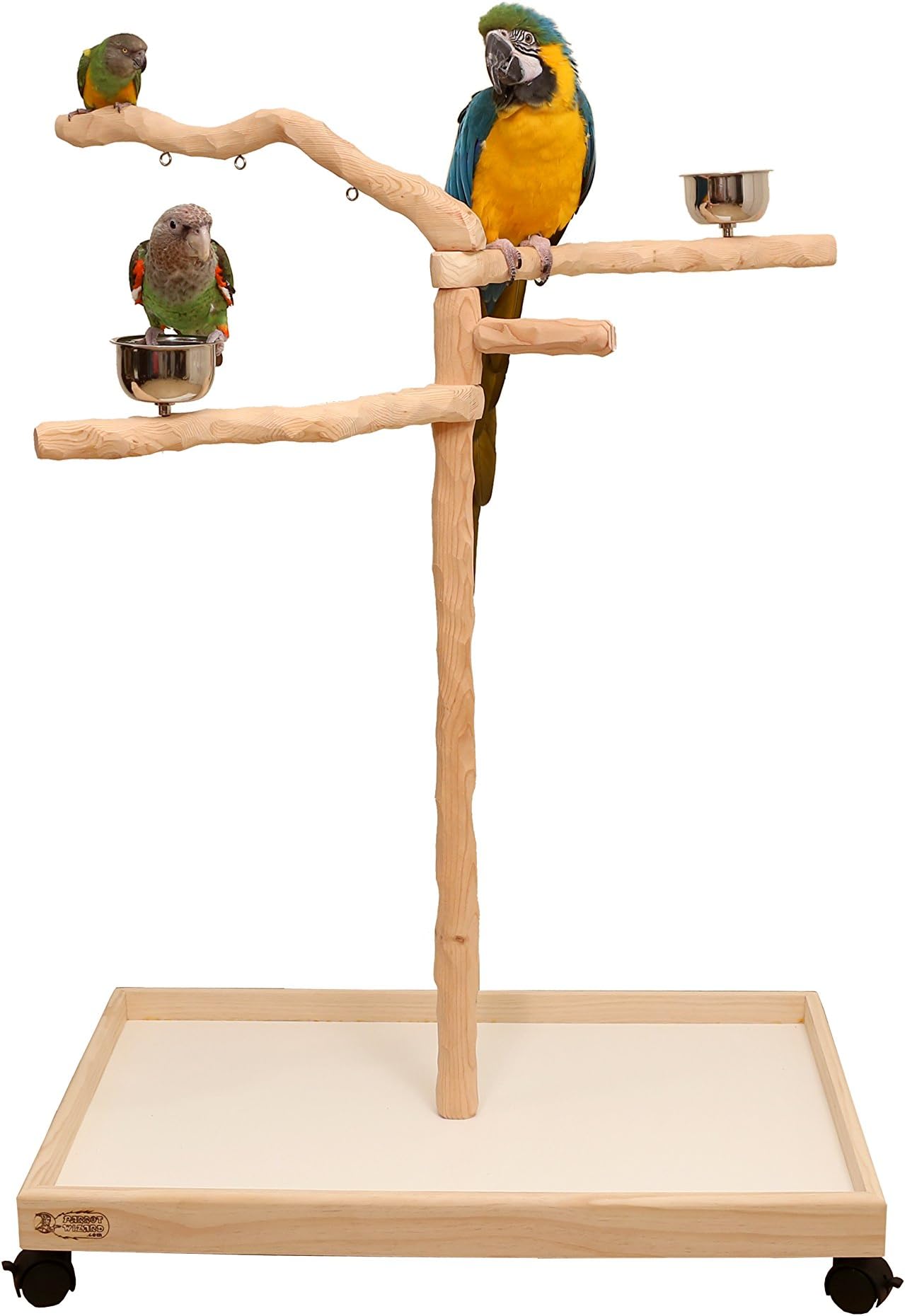 Parrot Wizard Perfect Tree for Parrots