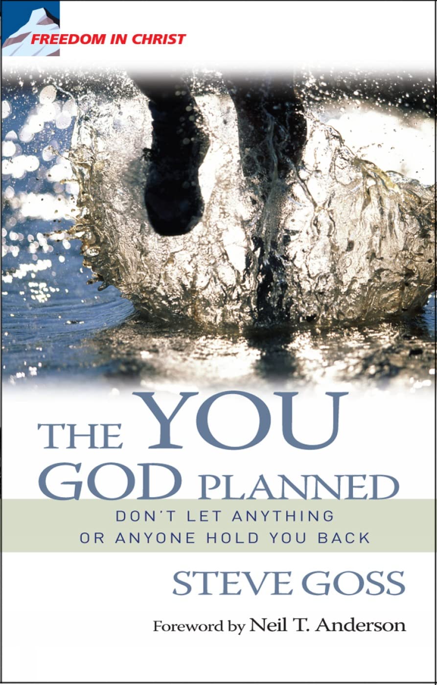 The You God Planned: Don't Let Anything or Anyone Hold You Back: Don't let anyone or anything hold you back
