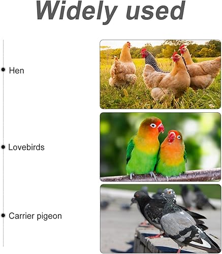 Miniatura 6 de Comedero de cabra para pollo, alimentador externo de pollo para aves de corral, accesorio creativo para jaula de alimentación de mascotas, 3 uds